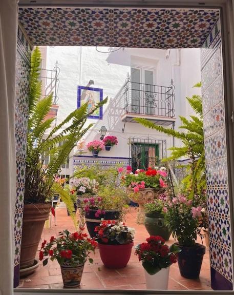 Hostal Enriqueta Marbella Eksteriør bilde