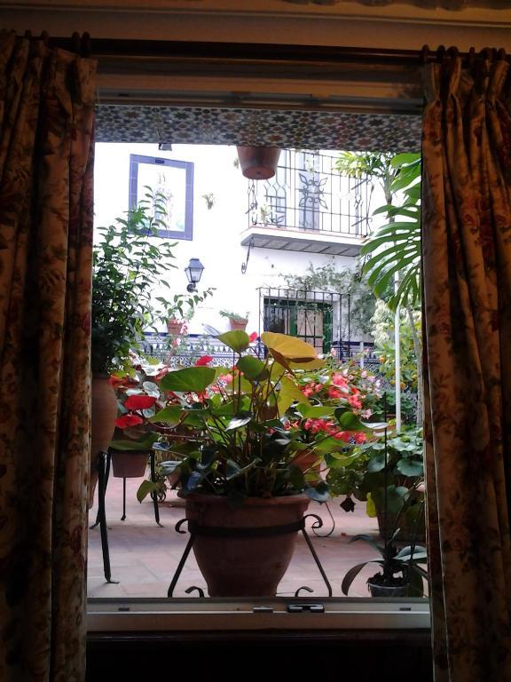 Hostal Enriqueta Marbella Eksteriør bilde